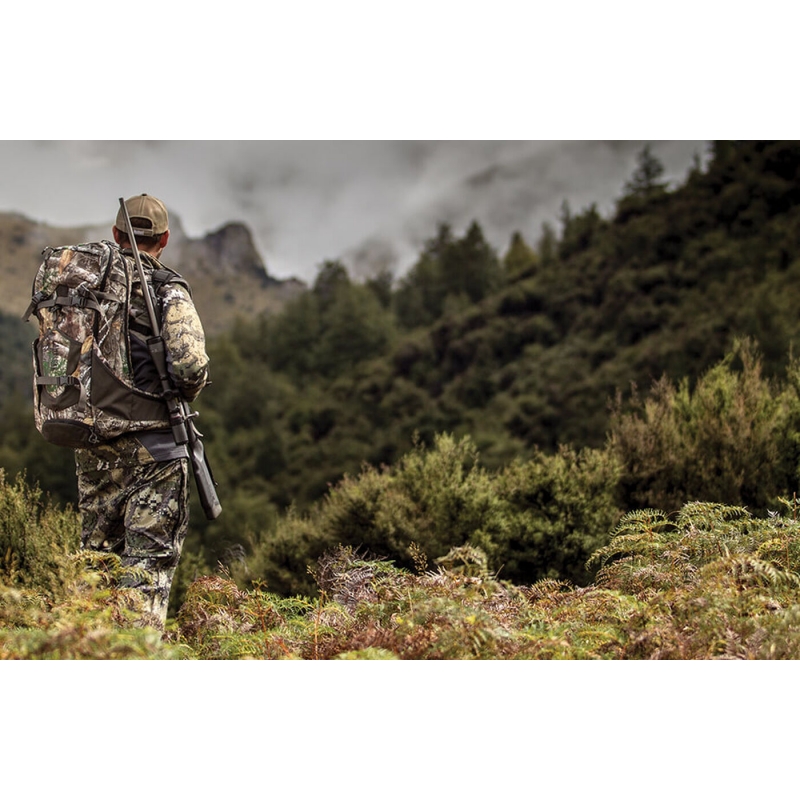 观鸟的一些基本知识